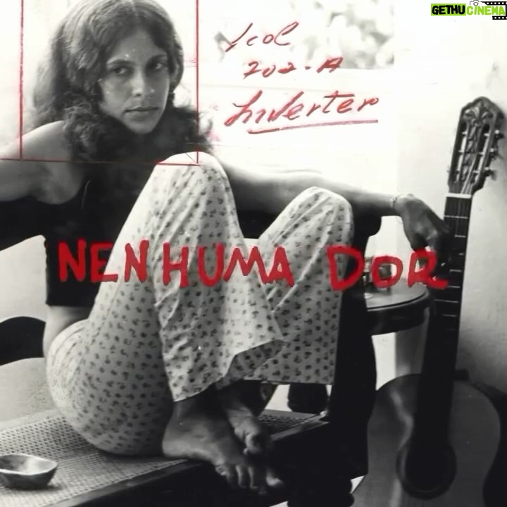 Gal Costa Instagram - ‘Nenhuma Dor’, álbum comemorativo dos 75 anos de Gal Costa, teve lançamento oficial em 12 de fevereiro de 2021, com edições em vinil e CD. ‘Nenhuma Dor’ nasceu como projeto digital durante a pandemia e trazia dez duetos de Gal com os brasileiros Rodrigo Amarante, Seu Jorge, Silva, Criolo, Rubel, Tim Bernardes, Zé Ibarra e Zeca Veloso; e ainda duetos com o português António Zambujo e com o uruguaio Jorge Drexler. Com concepção e direção geral de @marcuspreto, o projeto foi o último álbum de Gal. Marcus Preto comentou: “Em meio à pandemia, em maio ou junho do ano passado, Gal me telefonou. Sentia que, nesses dias tão vagos de definição, um público mais jovem do que o habitual estava dando tratamento especialmente afetuoso aos artistas da sua geração. A meninada chegou mais perto do trabalho dela, do de Caetano, Milton, Gil, Chico, Bethânia. Comentei que a sensação dela estava correta e era amparada por números: nunca se consumiu tanta música de catálogo no mundo quanto agora, na quarentena. Canções que a gente já tinha na memória do afeto, trilhas de melhores e mais esperançados tempos passados, voltavam potentes para nos dar estrutura diante das incertezas. “Isso me dá ainda mais vontade de trabalhar, de cantar para as pessoas. Você não acha que a música cura?”, ela perguntou. Era o sinal de que algo estava começando.” O vinil em edição limitada pela @revistanoize e o CD saiu pela @biscoitofino e encontra-se à venda no site www.biscoitofino.com.br #GalCosta #Gal75 #NenhumaDor #EquipeGal