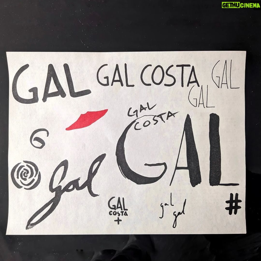 Gal Costa Instagram - #Repost @omarsalomao Fiz uma impressão em risografia desse poster com diversos Gals que eu escrevi para a Gal (discos, shows, singles, livro) e o texto da exposição - que só podia ter sido feito pelo @marcuspreto (obrigado querido, por conseguir escrever, sei que vc tava na correria de milhares de projetos fodas). E também uma dedicatória a dois mestres que me ensinaram tanto - na cenografia, no design e nas artes: Helio Eichbauer e Luciano Figueiredo. ❤️ São poucos - quem quiser um tem que chegar cedo! Impressos pelo incrível @risotropical abre Quinta, às 19h, lá na Gávea: Galeria Silvia Cintra Box 4 (@galeriasilviacintrabox4) Rua das Acácias, 104, Gávea. #coisassagradaspermanecem #Gal #GalCosta #EquipeGal