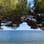 Gala Caldirola Instagram - La vida es eso que sucede mientras planeas otras cosas. Playa de la olla🤍 #altea