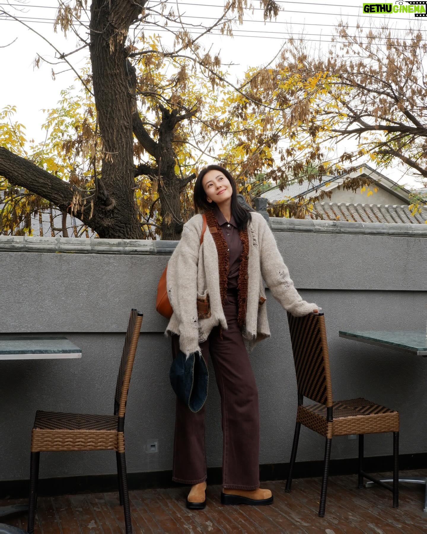 Gao Yuanyuan - 11.5K Likes - 🍂#GOOTD