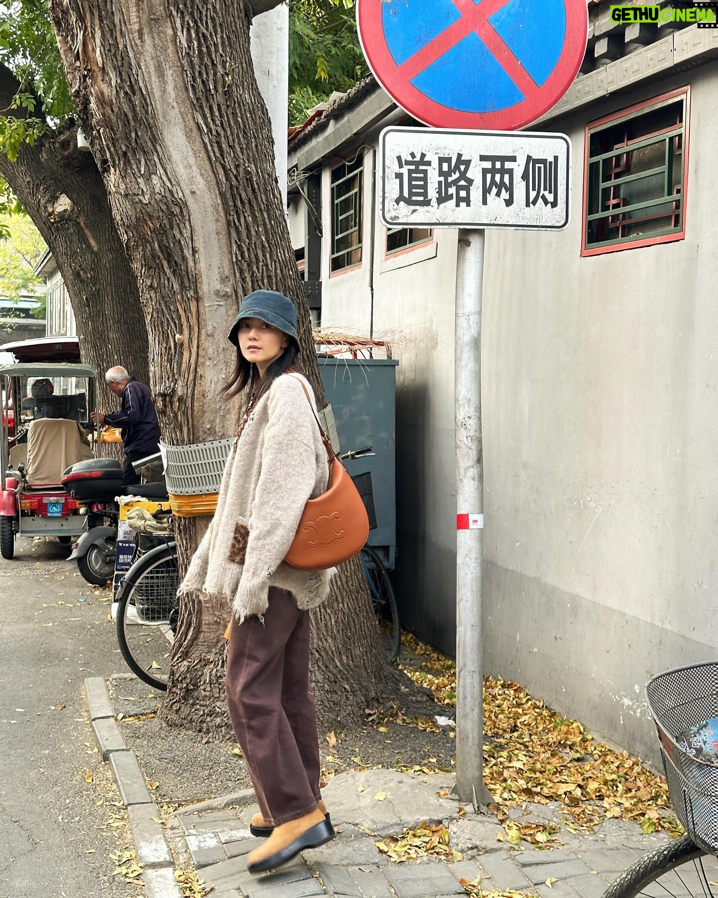 Gao Yuanyuan - 11.5K Likes - 🍂#GOOTD