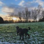 Gemma Atkinson Instagram - Snow days 🐶 🐶