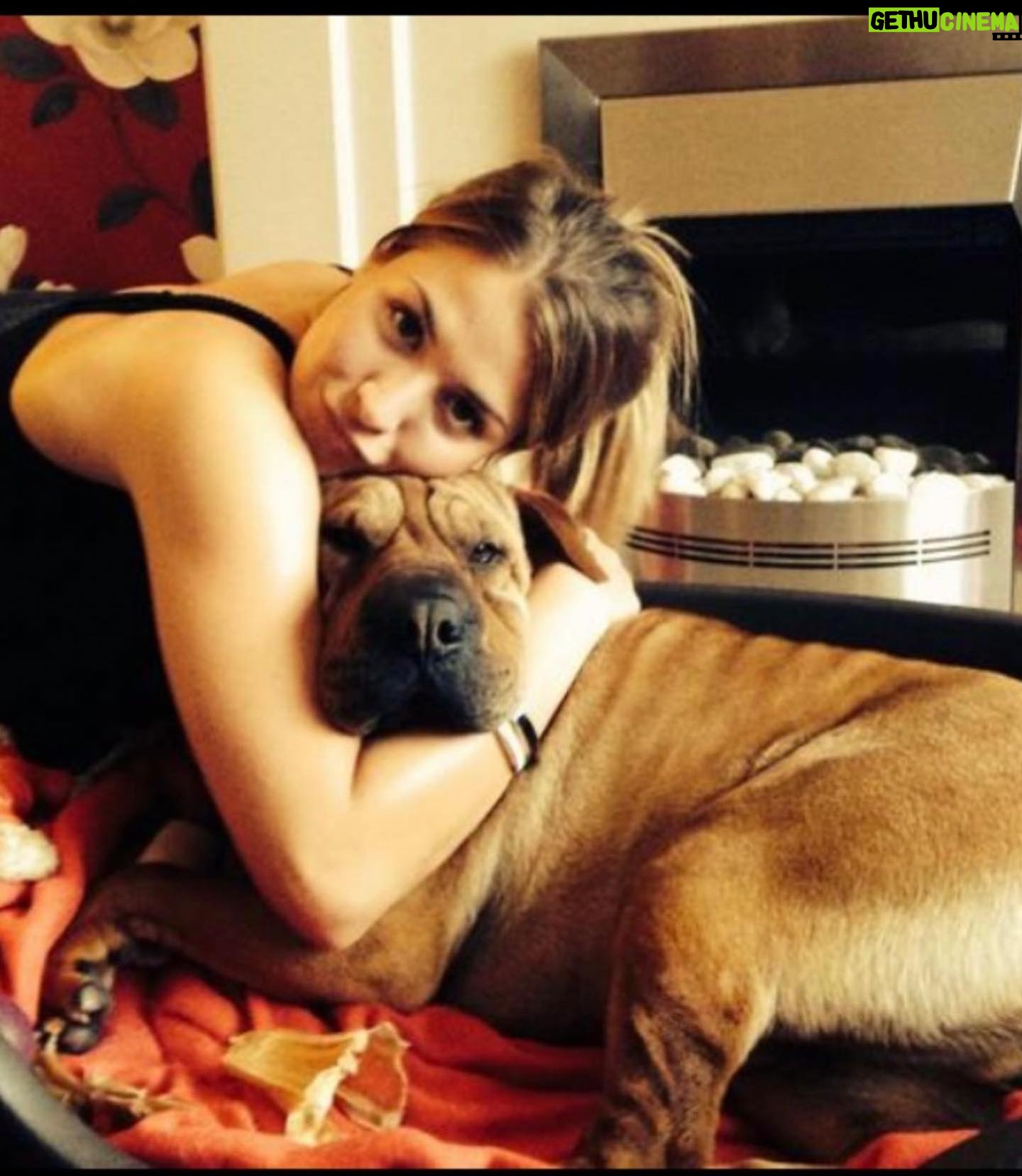 Gemma Atkinson Instagram - Knowing im a dog lover & the charity work I do with dogs, Lots of ppl have asked my opinion about the XL bully ban… This is Jackson. He was a sharpie bull mastiff cross and for 14 years lived with my sister and her 3 children showing them nothing but love & loyalty. Muscular and large, he was always referred to as the gentle giant. I’ve heard recently that the government is offering £200 compensation for families to have their bull breed euthanised. The attacks some of these dogs have done to humans is horrendous. I cannot think of anything worse than whitenessing such horrors and my heart goes out to the families who have suffered 😞 I always say a dog, just like a human is a product of its environment & regardless of breed & size they can all be taught to attack & all turn when they feel threatened. My mate was attacked by a corgi on his paper round when we were kids. All a dog wants to do is please it’s owner. Even the owners that aren’t responsible enough to have them. I’ll use Manchester as an example because I’m from there. If you take our wonderful city and & over the course of the next month 9 people from Manchester commit awful crimes they absolutely should be punished. 100% ! It doesn’t mean though that all the other Mancunians should be punished with them. It’ doesn’t mean every Mancunian is the same. The media has portrayed this breed badly for ages. It used to be Dóbermans then Rottweilers but never their humans. Why? Something has to be done to stop these attacks. Lots of dog trainers & experts believe there are ways to tackle the issue which doesn’t involve simply just destroying all current bull breeds who live in loving family’s across the UK. I’ve had families send me pictures of their dogs begging for them not to be taken or judged. Ive also been sent stories of attacks from other dog breeds. Looking at it as a mother, would I leave my kids with them? No. But I wouldn’t leave them with any breed. Not just bully’s. I don’t even leave them alone with Norman & Ollie because regardless of size or breed, you never know & part of being a responsible owner is never taking that chance. I’m interested to respectfully know what you think of the ban…