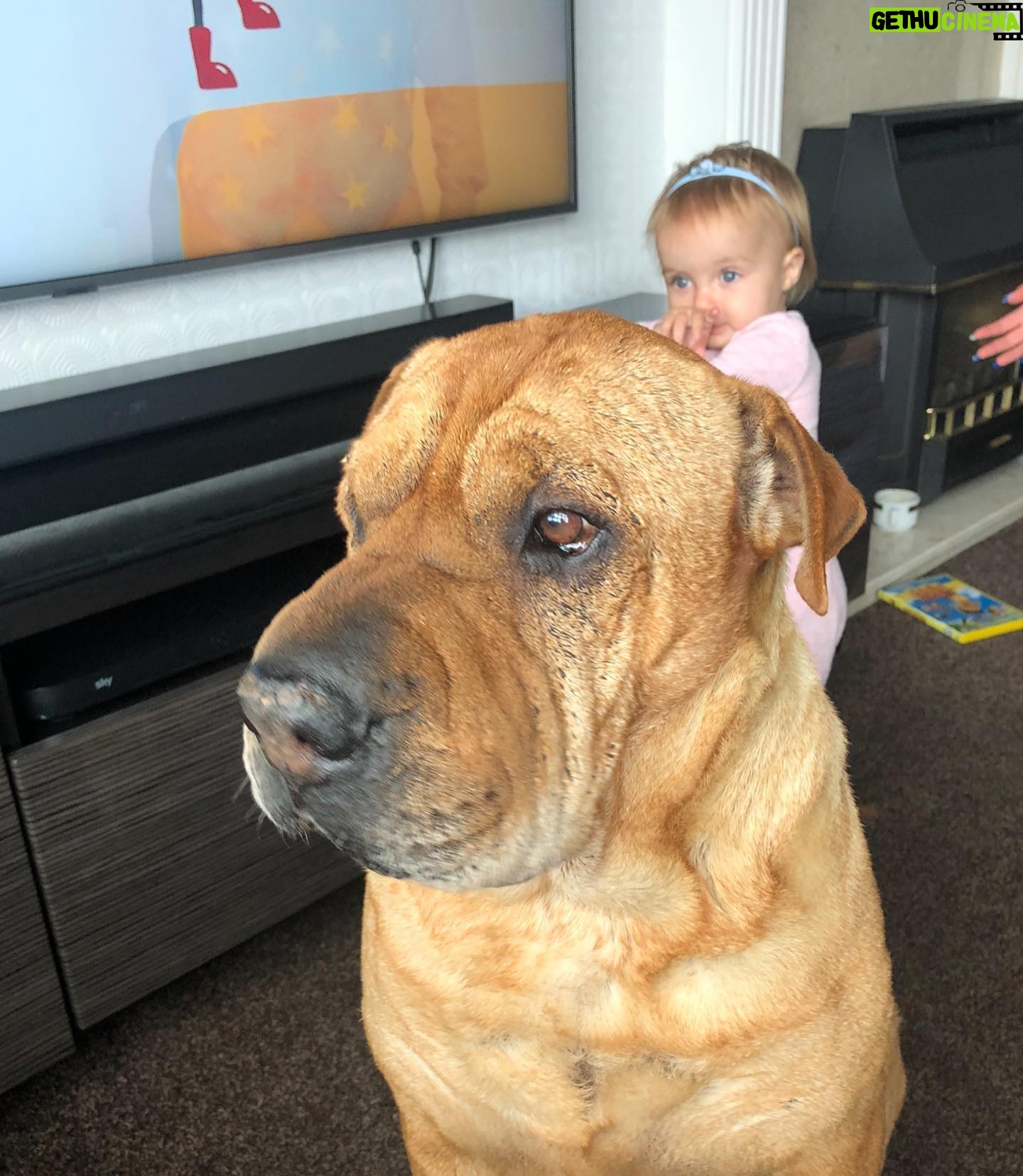 Gemma Atkinson Instagram - Knowing im a dog lover & the charity work I do with dogs, Lots of ppl have asked my opinion about the XL bully ban… This is Jackson. He was a sharpie bull mastiff cross and for 14 years lived with my sister and her 3 children showing them nothing but love & loyalty. Muscular and large, he was always referred to as the gentle giant. I’ve heard recently that the government is offering £200 compensation for families to have their bull breed euthanised. The attacks some of these dogs have done to humans is horrendous. I cannot think of anything worse than whitenessing such horrors and my heart goes out to the families who have suffered 😞 I always say a dog, just like a human is a product of its environment & regardless of breed & size they can all be taught to attack & all turn when they feel threatened. My mate was attacked by a corgi on his paper round when we were kids. All a dog wants to do is please it’s owner. Even the owners that aren’t responsible enough to have them. I’ll use Manchester as an example because I’m from there. If you take our wonderful city and & over the course of the next month 9 people from Manchester commit awful crimes they absolutely should be punished. 100% ! It doesn’t mean though that all the other Mancunians should be punished with them. It’ doesn’t mean every Mancunian is the same. The media has portrayed this breed badly for ages. It used to be Dóbermans then Rottweilers but never their humans. Why? Something has to be done to stop these attacks. Lots of dog trainers & experts believe there are ways to tackle the issue which doesn’t involve simply just destroying all current bull breeds who live in loving family’s across the UK. I’ve had families send me pictures of their dogs begging for them not to be taken or judged. Ive also been sent stories of attacks from other dog breeds. Looking at it as a mother, would I leave my kids with them? No. But I wouldn’t leave them with any breed. Not just bully’s. I don’t even leave them alone with Norman & Ollie because regardless of size or breed, you never know & part of being a responsible owner is never taking that chance. I’m interested to respectfully know what you think of the ban…