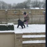 Gemma Atkinson Instagram - Nothing beats growing up with the love of a dog 🐶❤️