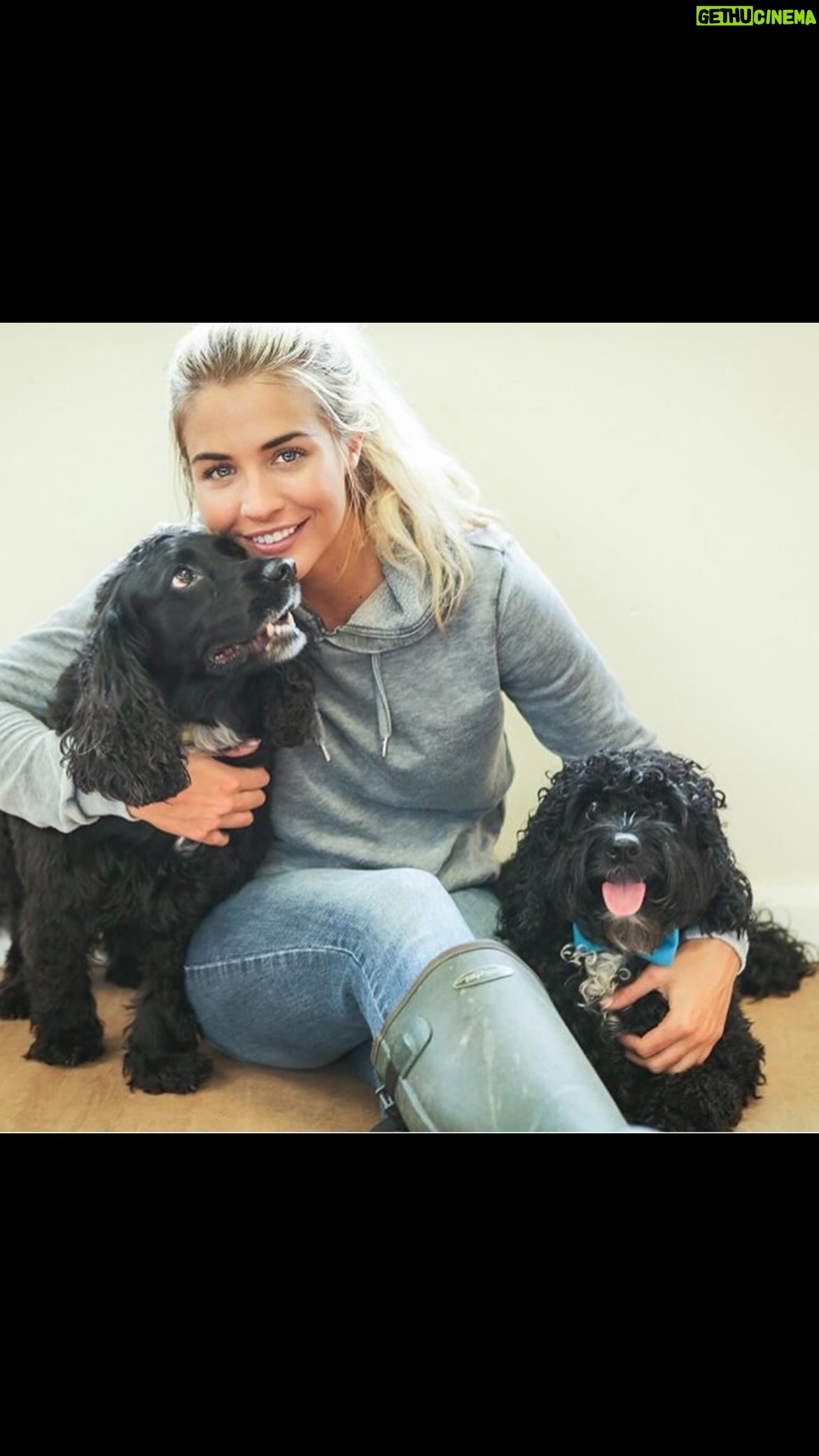 Gemma Atkinson Instagram - My arrival home celebrations aren’t always as bouncy & jumpy as they used to be. But their smiling eyes and wagging tails are proof they are still so happy I’m back. Ollie waits patiently behind the front door and Norman still brings me a toy as well 🐶❤️
