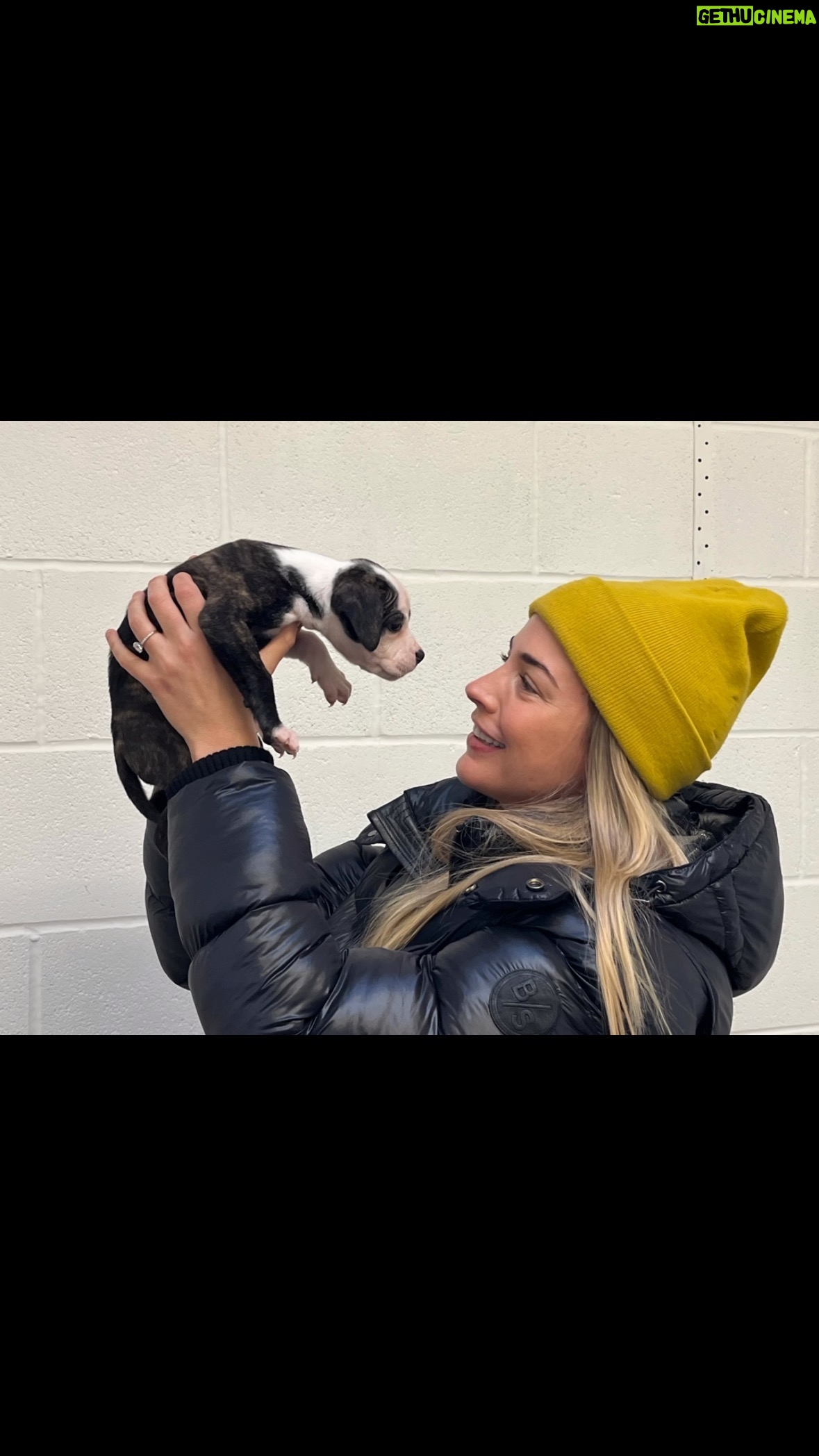 Gemma Atkinson Instagram - Lovely morning up at our sanctuary @bleakholt_animal_sanctuary I always leave this place happy because there’s nothing better for your soul than being around animals 🥰 Ive posted on my story some of our residents looking for homes, it took every ounce of me to not have them all 😂 For those who can’t or don’t want to adopt there’s so many ways you can help keep the sanctuary doing what it does best with a small donation or drop offs of toys, food and blankets. We also have charity shops which help too. I’ll be dropping some of Mias old clothes at our Ramsbottom shop next week. Thank you for any help! It’s much appreciated 💙