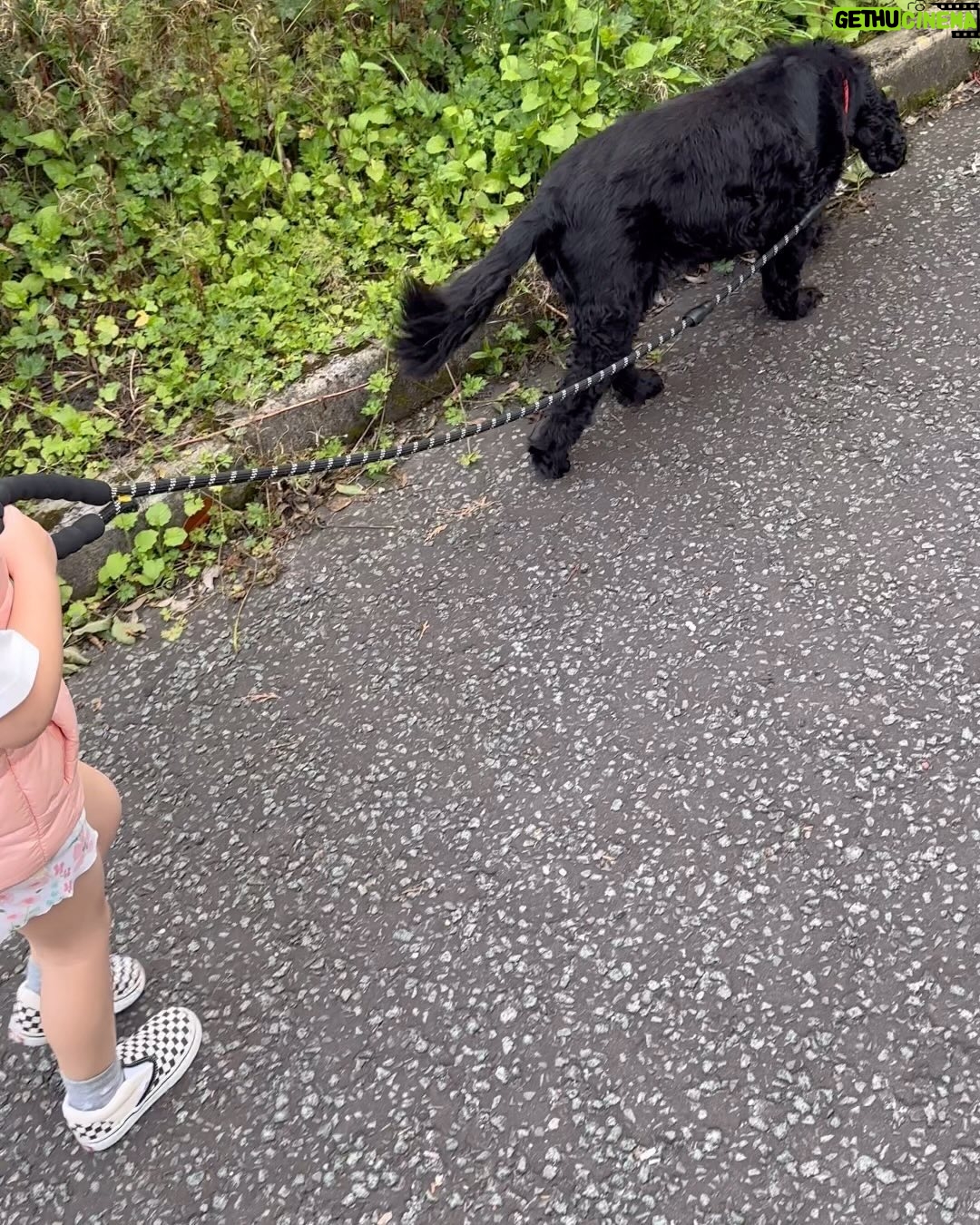 Gemma Atkinson Instagram - Unfortunately for myself, Norman & Ollie, Mia only knows the chorus of Flowers… and it was sang on repeat the entire walk 🤦🏼♀️😂 🌸