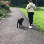Gemma Atkinson Instagram - Lots of DMs about my postpartum plans and what I did after Mia this morning (I’ve shared a few on stories) but thought it easier to do a post on here. The first slide was 3wks after my emergency section. I didn’t do anything other than walking for 15 weeks. I focused on my nutrition as I knew this would not only help my mental mood, but help my body heal quicker. Food is medicine 🙌🏼 After my mummy Mot to check my pelvic floor & scar healing I began my sessions back @ultimateperformancelive with Evil Steve. As you can see, my first one back was hard & I was starting from scratch building up my strength & muscular definition again. I could only commit to two days a week with Steve so that’s when we decided to turn our then garage at the old house to a gym. It was then I was able to get sessions in more frequently (sometimes with Mia involved as you can see) 😂 My weighted vest was a god send as sometimes with free weights I felt a little pressure on my scar. With the vest I didn’t. Slide 8 & 9 is all about my core. Postpartum is for life so I continued those exercises 3 times a week up until I fell pregnant with little man. Slide 10 was 7th July 2020. Exactly a year & 3 days after Mia was born. That’s how long it took roughly to be 100% back! Hitting new PBs by a long shot, mentally strong and focused and enjoying it! And I’m putting no pressure on myself to do it any sooner this time around. The extra benefit this time is we have a gym at home. I won’t need to have the extra 1hr either side of a session to get there and back. Doesn’t make the workouts any easier but saving time is a huge win for any parent! Our bodies are remarkable. And in growing & birthing a human it’s done the biggest workout of its life. Be kind to it. I always say it, but it’s hard to feel bad about a body you’re taking care of. Remember everyone is different, so don’t compare yourself. Comparison is the theft of joy. I know ladies who did it sooner than me, some who did it later. But we all did it. Around our own circumstances & routines we did it. And so will you! ❤️