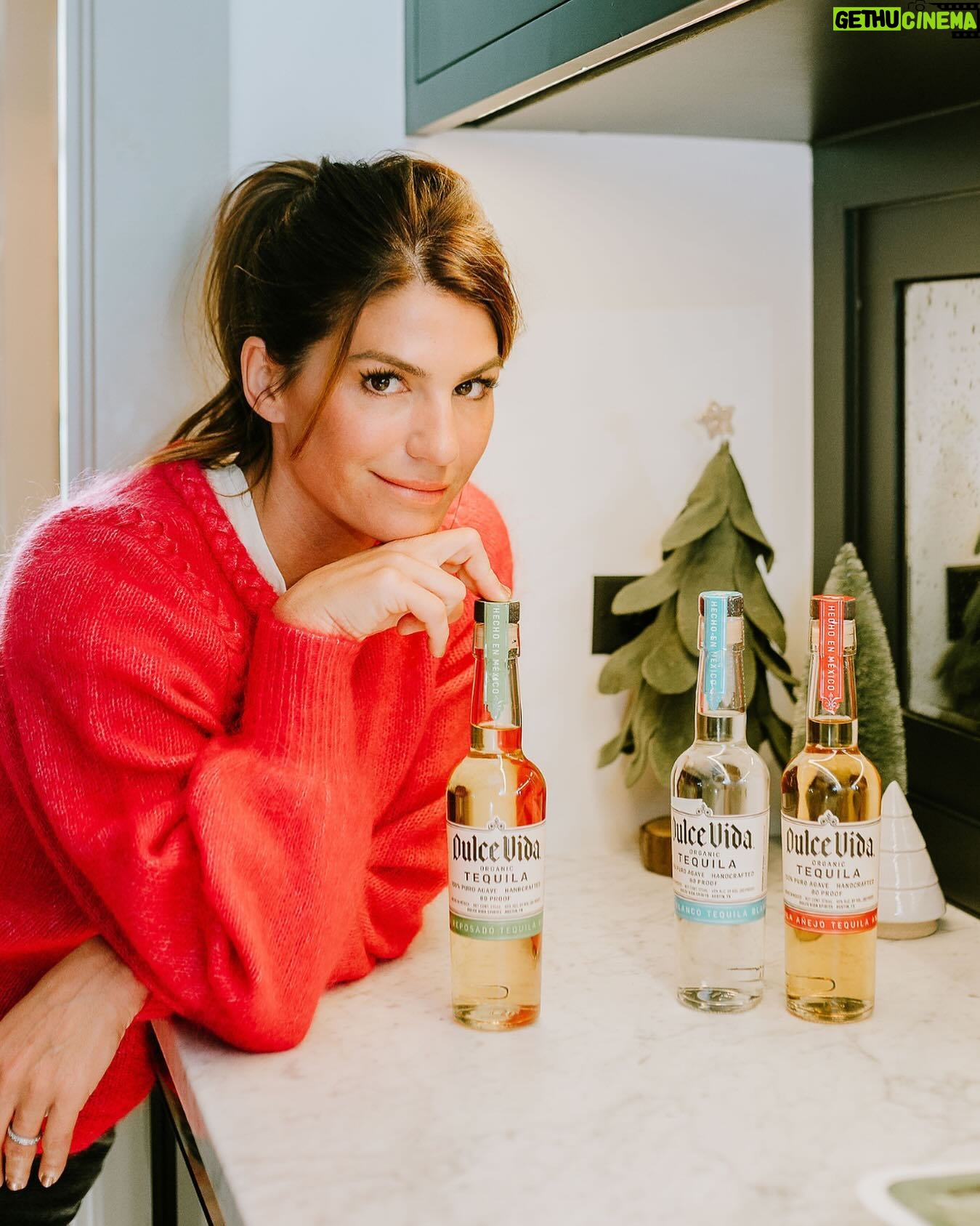 Genevieve Padalecki Instagram - Pour decisions have never been so eco-friendly. 🌎🍹 Sharing some of my favorite sustainable alcoholic (and non-alcoholic!) spirits in my stories today to help you ring in the new year. Shop them at the ltk.it link in my bio 🎊 Psst...meet me @towwn to find a festive cocktail recipe using @dulcevidatequila. Cheers!