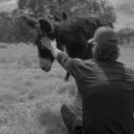 Genevieve Padalecki Instagram - It’s International Donkey Day AND #WalkerDay! 🫏 So in honor of these beautiful animals, let’s not make an ass outta you and me — watch #Walker with us tonight!! 😂