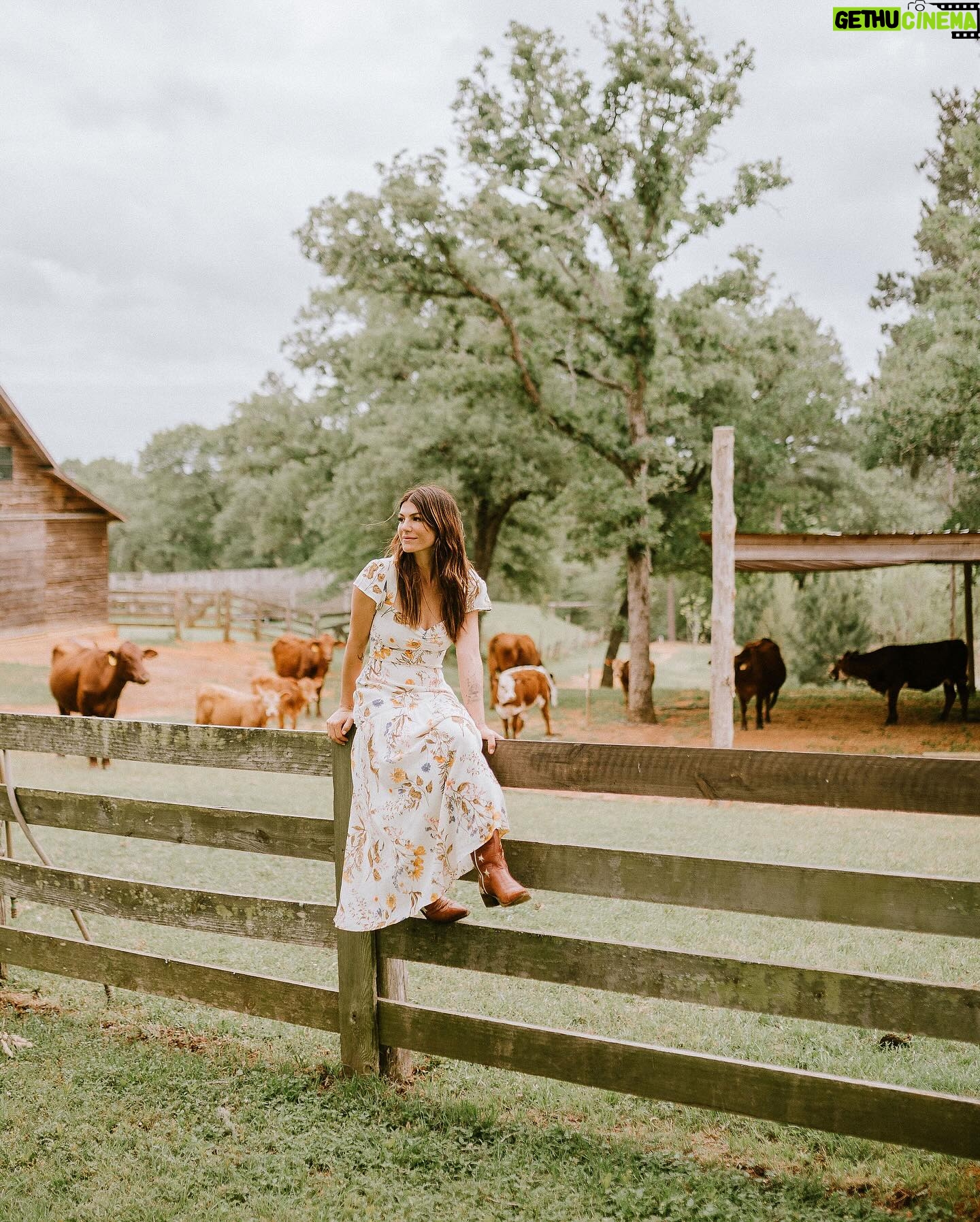 Genevieve Padalecki Instagram - On the farm, where the days feel ‘udderly’ amazing 🐄