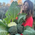 Genevieve Padalecki Instagram - Forget flowers. Send me a bouquet of 🥦 🥕 🥬🌽🫑🧄.