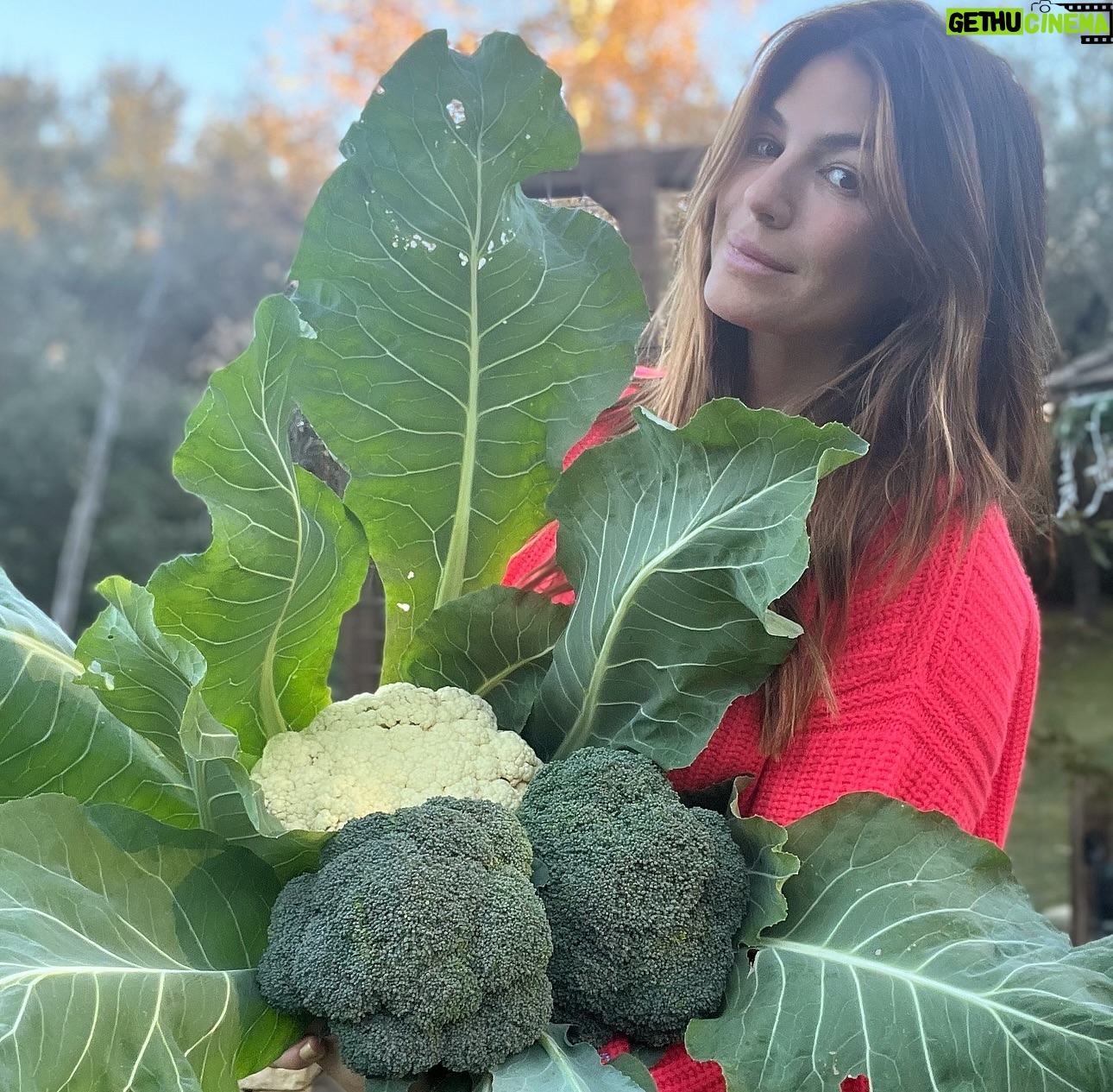 Genevieve Padalecki Instagram - Forget flowers. Send me a bouquet of 🥦 🥕 🥬🌽🫑🧄.