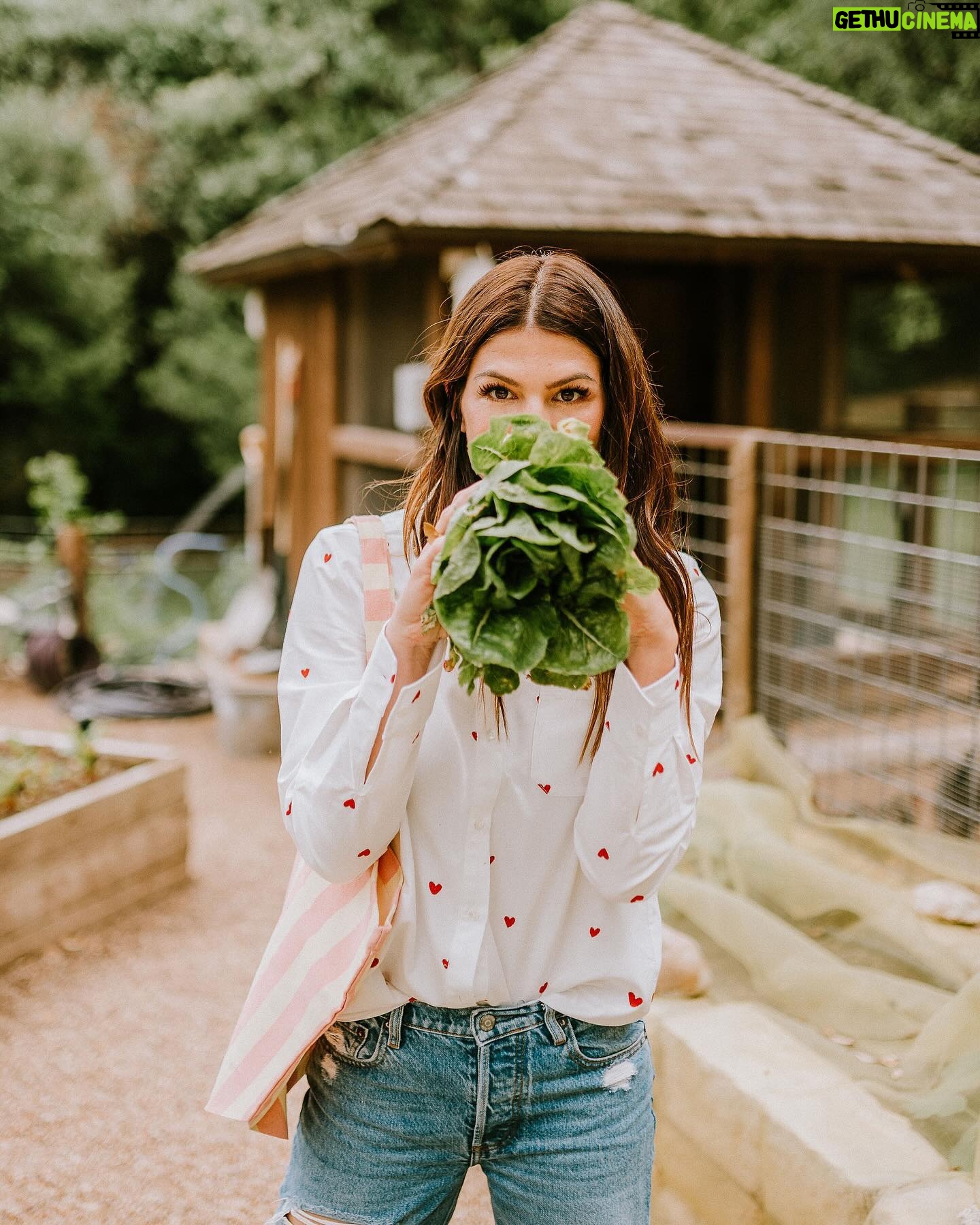 Genevieve Padalecki Instagram - Garden update… I found some keepers. 🥕🤣 Head over to @towwn to see what’s in season and check out my story today for some organic gardening tips 🌱