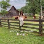 Genevieve Padalecki Instagram - who’s your best-est buddy? 💗🐶🐐🐇🐮 a celebration of #earthmonth wouldn’t be complete without mentioning our planetary cohabitants. according to a recent survey by the american psychiatric association, 86% of pet owners believe their “fur babies” boost their mental health – and 90% consider their animal adoptees & friends as part of the family. more pet-related benefits: ▶️improved cardiovascular health ▶️elevated mood ▶️boost physical activity levels ▶️reduce anxiety ▶️help alleviate combat symptoms of adhd, ptsd, loneliness & isolation ▶️comfort & companionship (think: the elderly & people with medical conditions) ▶️aid in children’s learning development animals may also help kids and adults with socializing. 🐕‍🦺so, take a walk to the dog park, visit a farm or rescue sanctuary, build a bird feeder – engage with any animals that inspire you – and enjoy a moment of zen with another gentle & curious being. tell us your best buddy’s breed or species tag their profile (if they have one!) in the comments.