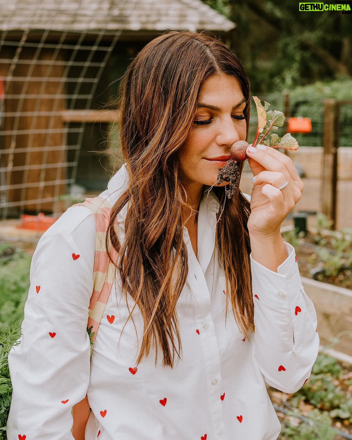 Genevieve Padalecki Instagram - Garden update… I found some keepers. 🥕🤣 Head over to @towwn to see what’s in season and check out my story today for some organic gardening tips 🌱
