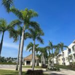 Georgia Hassarati Instagram - DominCant come to the phone right now 🏝️ @hrhcpuntacana #HRHCPuntaCana #HardRockHotels #RockandReel