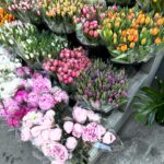 Georgia Hassarati Instagram - nyc so pretty 🌷💐🌷🌼🌸🌷