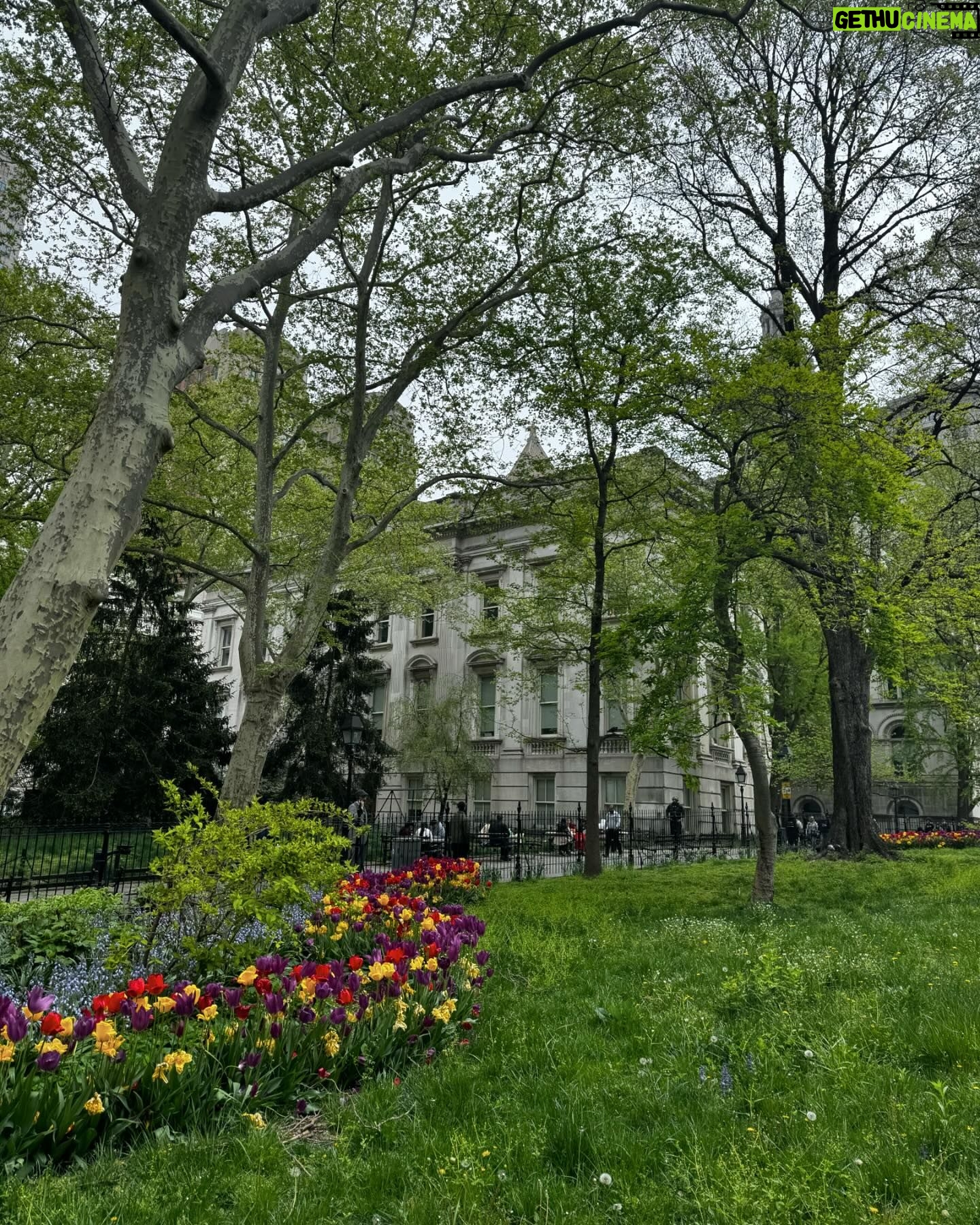 Georgia Hassarati Instagram - nyc so pretty π·ππ·πΌπΈπ·