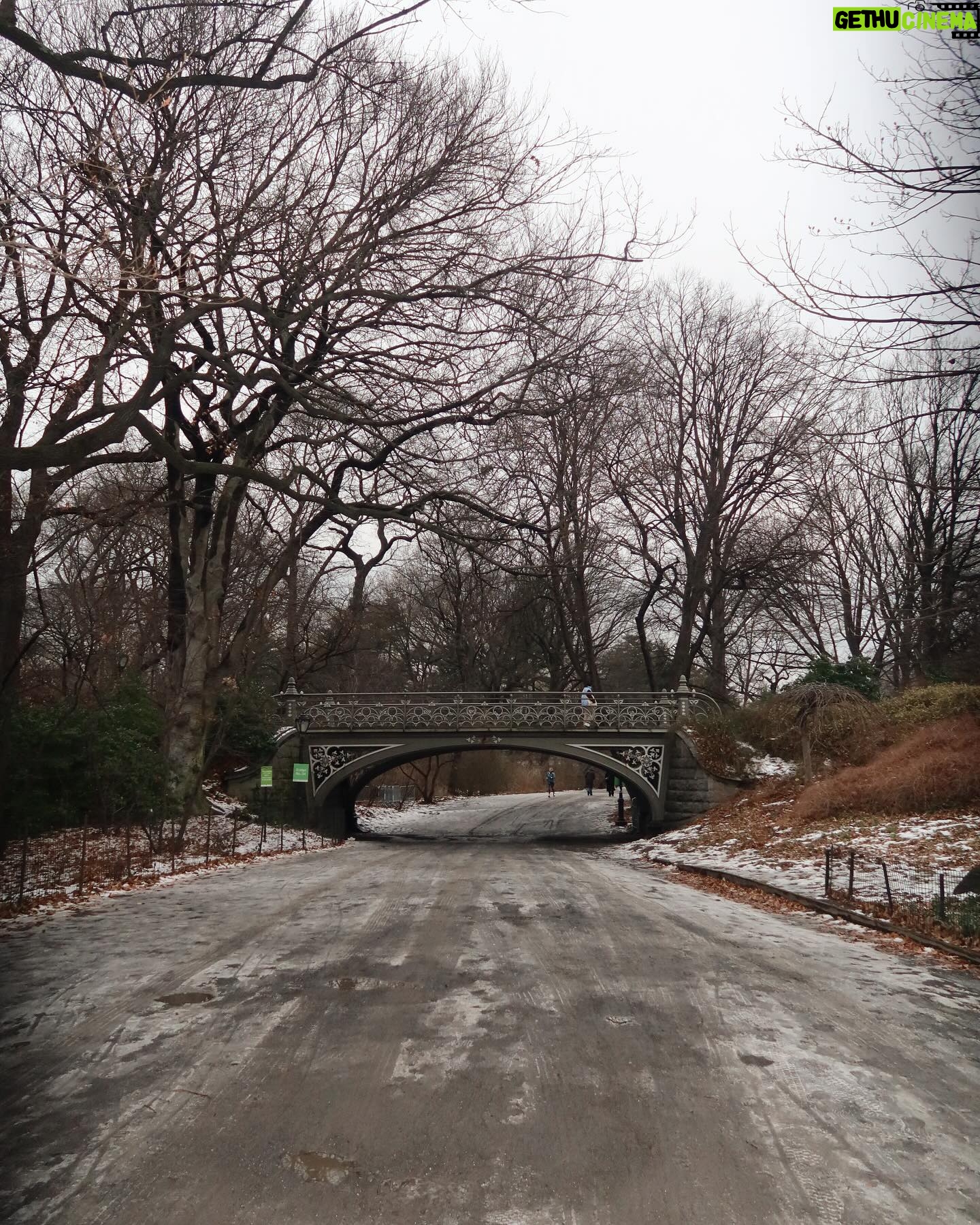 Georgia Hassarati Instagram - Central Park is my favorite