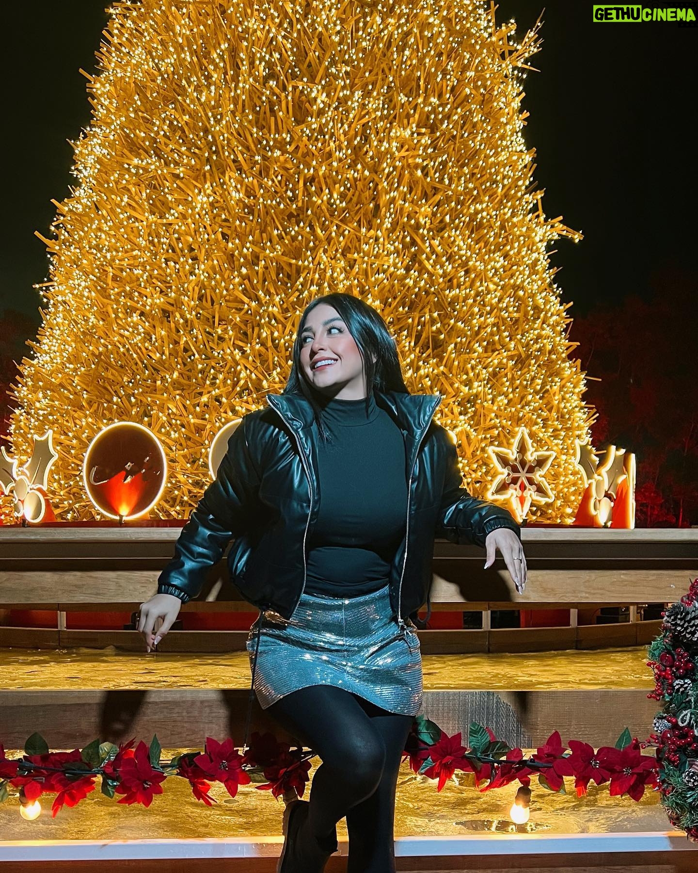Geraldine Galvan - 52.5K Likes - Qué le pidieron a santa ??🎁🎄🎅