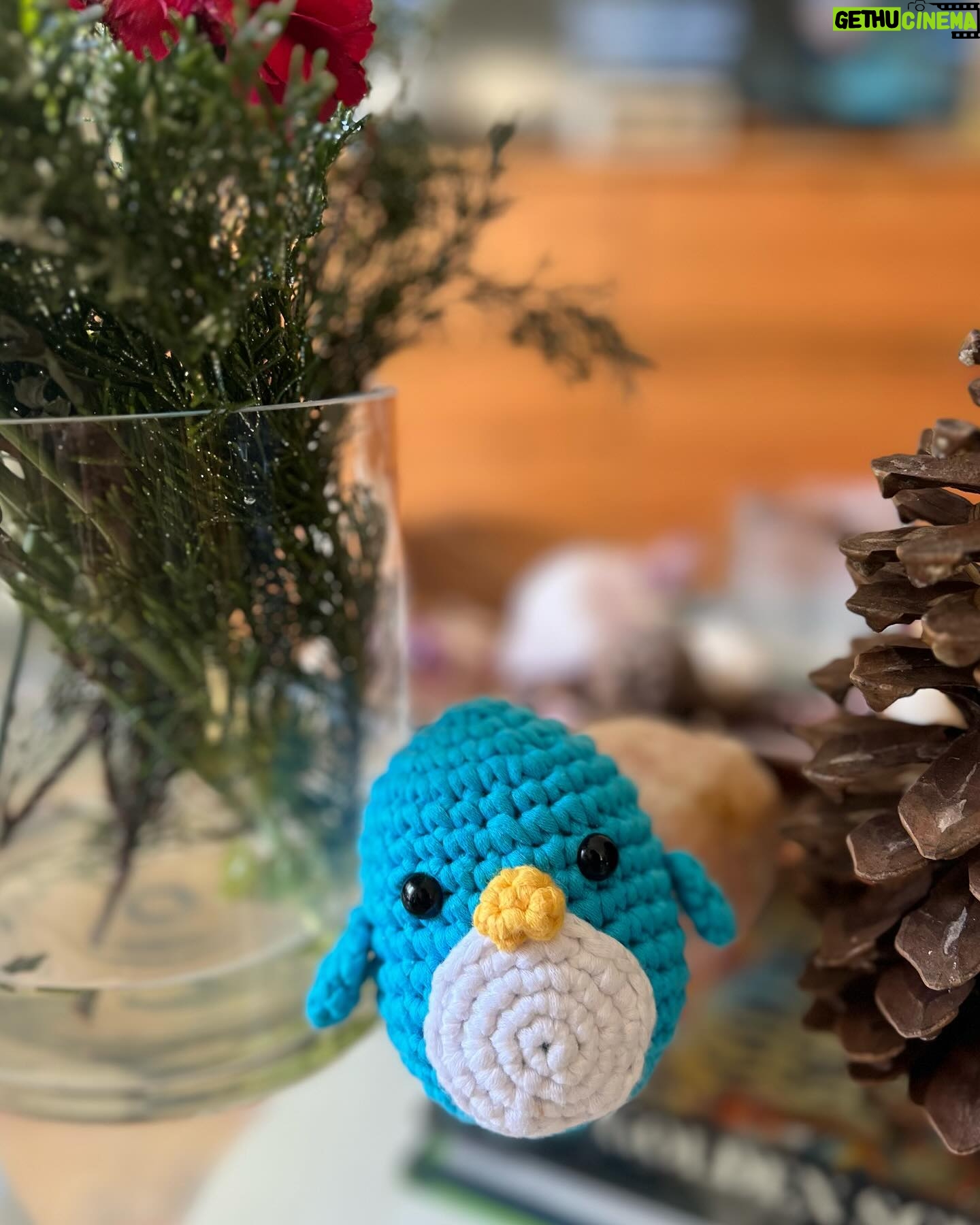 Gia Kim Instagram - Some of my fav animals - My new friends Wally the humpback whale and Pingu the fairy penguin - Did you know humpback whales actually protect other marine animals from visible harm and show altruistic acts of service? And penguins well,,, they’re just very effing cute ☺️❤️