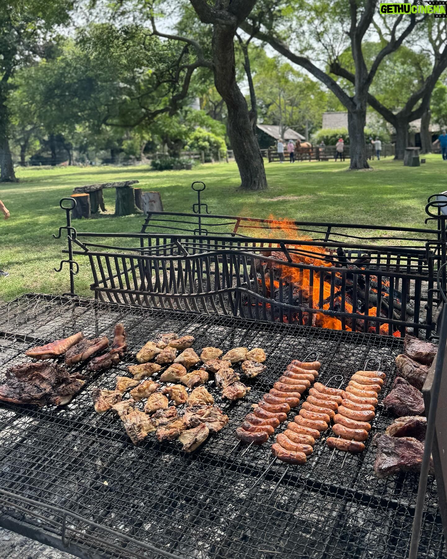 Gianella Neyra Instagram - Viviendo unos días increíbles en este 🛳️. Buena compañía, asado 🥩, naturaleza, vistas increíbles, 🐧 pingüinos, teatro 🎭 y tanto para disfrutar. ¿Qué más puedo pedir? Otro sueño cumplido: La Antártida 🌬️