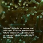 Gillian Anderson Instagram - On today's @curio.io episode, we learn about coral reefs and what is being done to ensure their survival. 🐡🐠🐟 Written by Rowan Moore Gerety for @wired. 🎧 Listen now, link in bio. #WhatDoIKnow #CurioOriginal