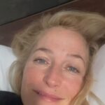 Gillian Anderson Instagram - A 👀 at the real Gillian Anderson Day @netflix @netflixuk 🙄🙃
