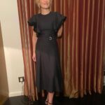 Gillian Anderson Instagram - About last night! Styling: @marthaward Dress: @chloe Shoes: @jimmychoo Makeup: @florriewhitemakeup Hair: @jamesrowehair