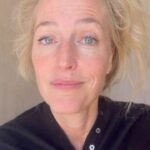 Gillian Anderson Instagram - Been a little minute…🍆 #penisoftheday