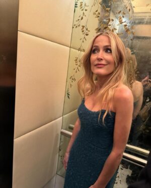 Gillian Anderson Instagram - What a Scoop 👀

Dress: @EmiliaWickstead
Styling: @marthaward 
Jewellery: @solangeazagury
Bag: @anyahindmarch
Shoes: @gianvitorossi
Hair: @jamesrowehair 
Make up: @amanda.grossman