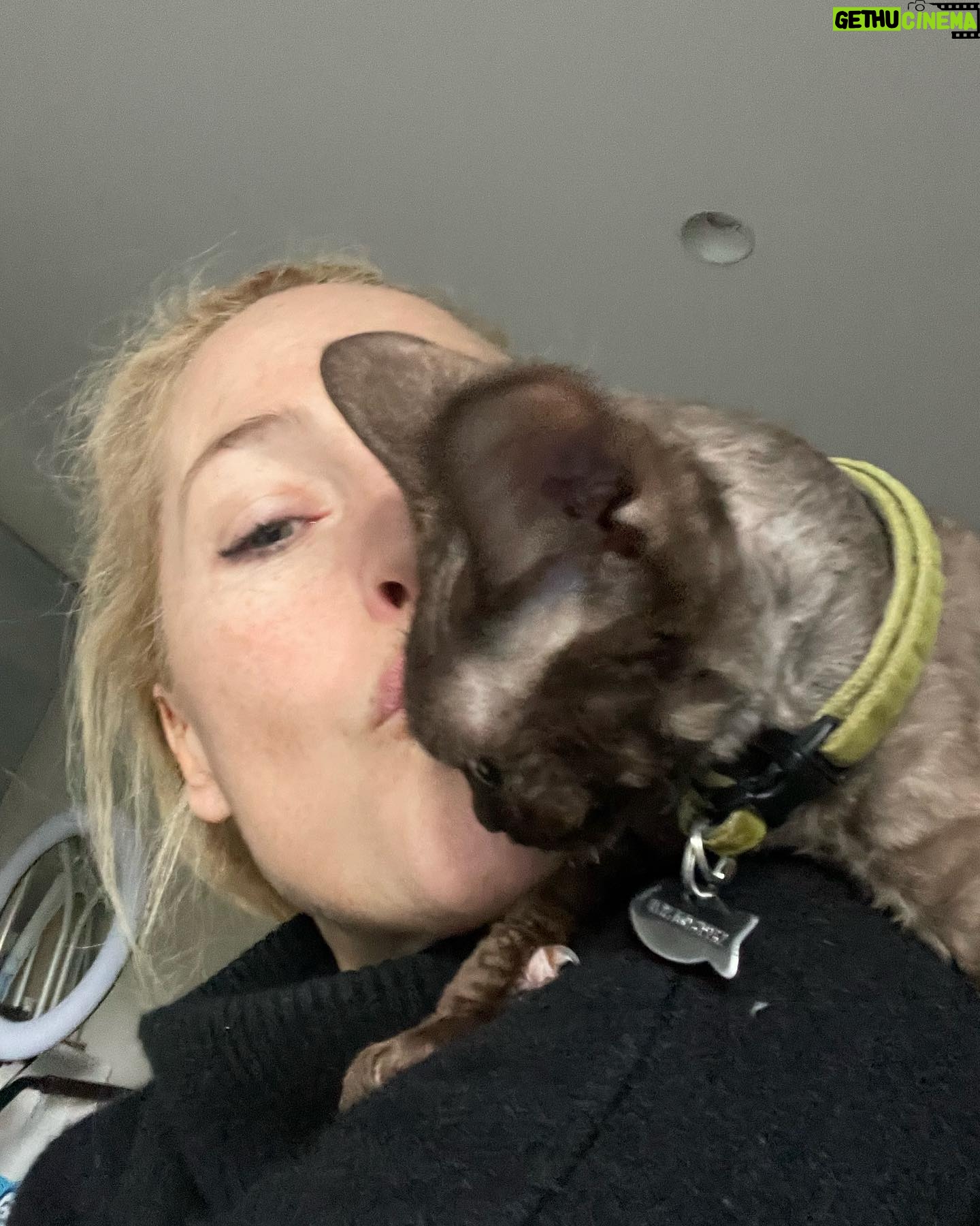 Gillian Anderson Instagram - Have I told you about Gigi?