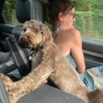 Gillian Anderson Instagram - Only child syndrome. #NationalDogDay