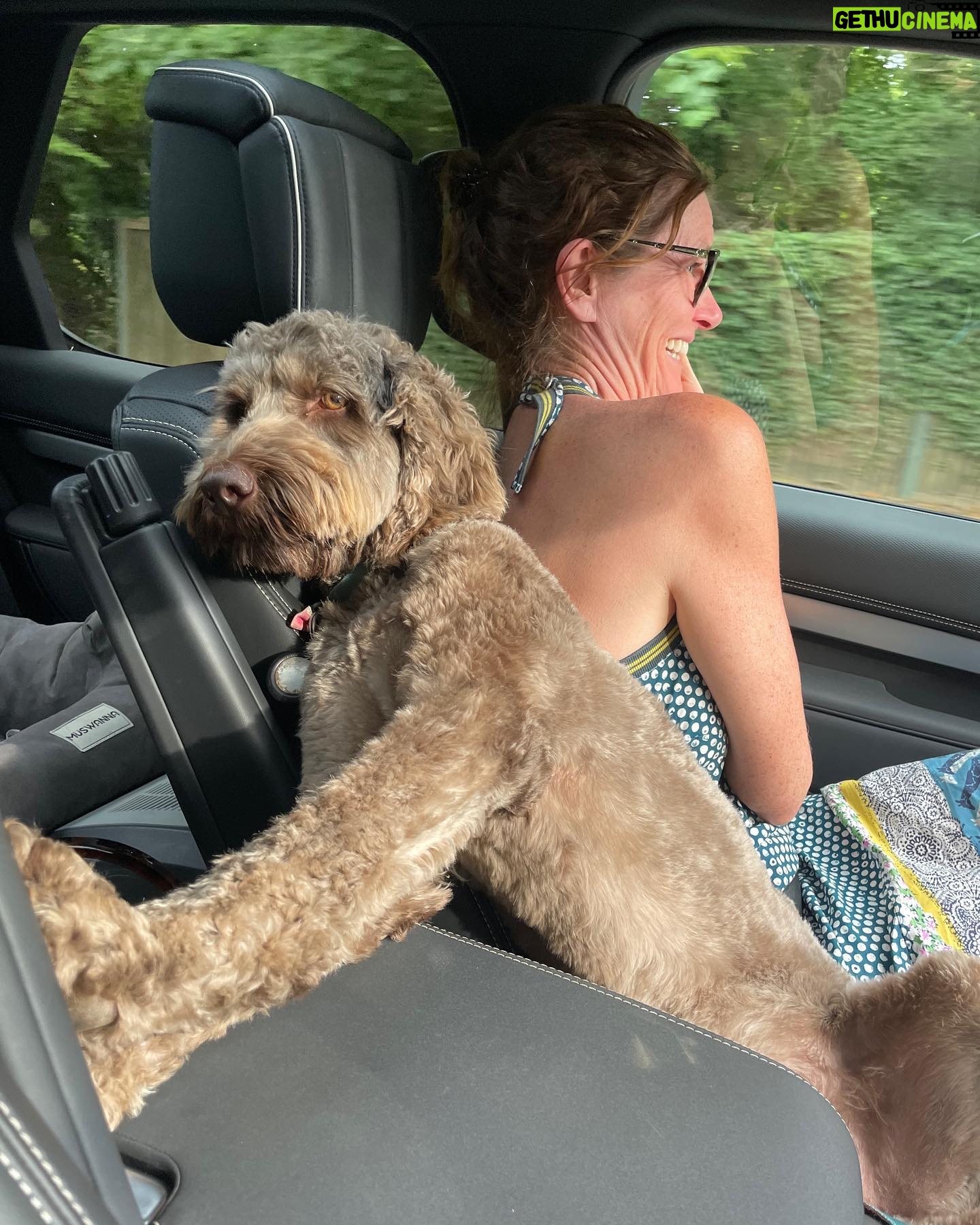 Gillian Anderson Instagram - Only child syndrome. #NationalDogDay