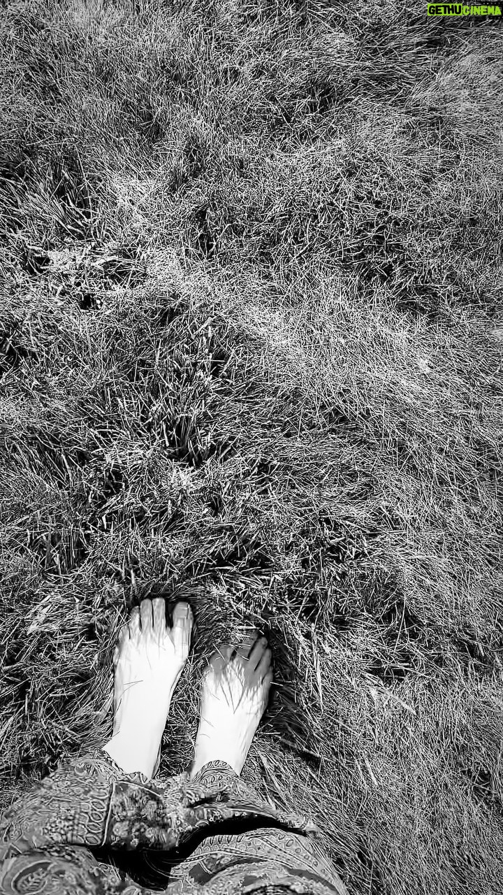 Gina Carano Instagram - Put your feet on the ground. 🦶🐾👣🦶❤️