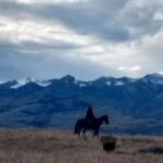 Gina Carano Instagram – Who needs therapy when there are horses. ❤️🖤❤️