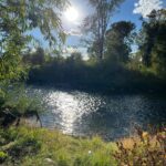 Gina Carano Instagram - Nature heals.. ☀️