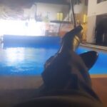 Gina Carano Instagram - 🌬💧🎥