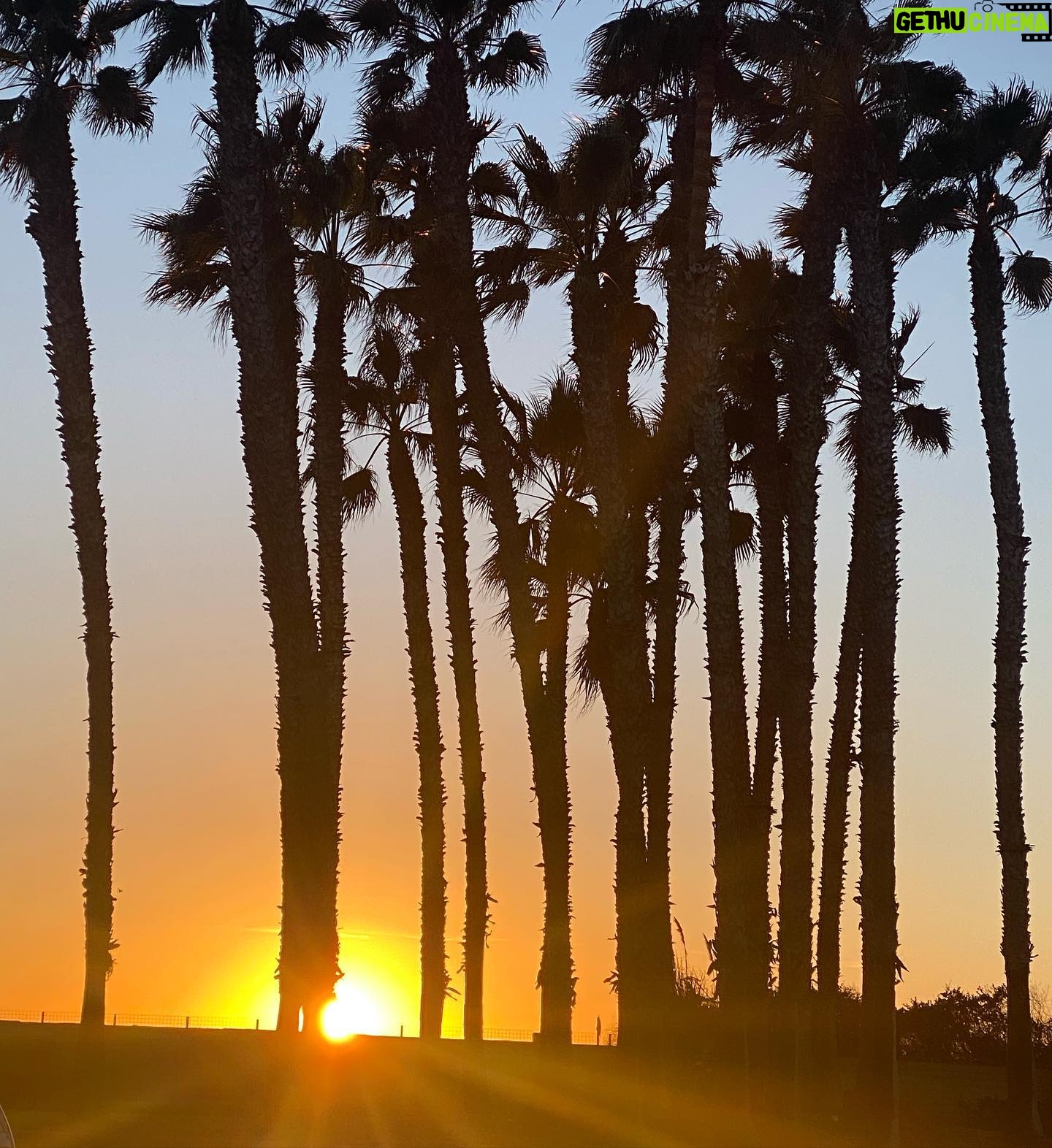Gina Carano Instagram - The energy is definitely changing. ☀️#keepgoing