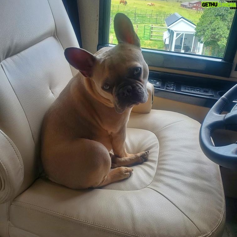 Gina Carano Instagram - License & registration Sir @lil_bovy #LilBovy