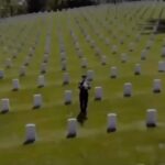 Gina Carano Instagram - #MemorialDay 🇺🇸🦅