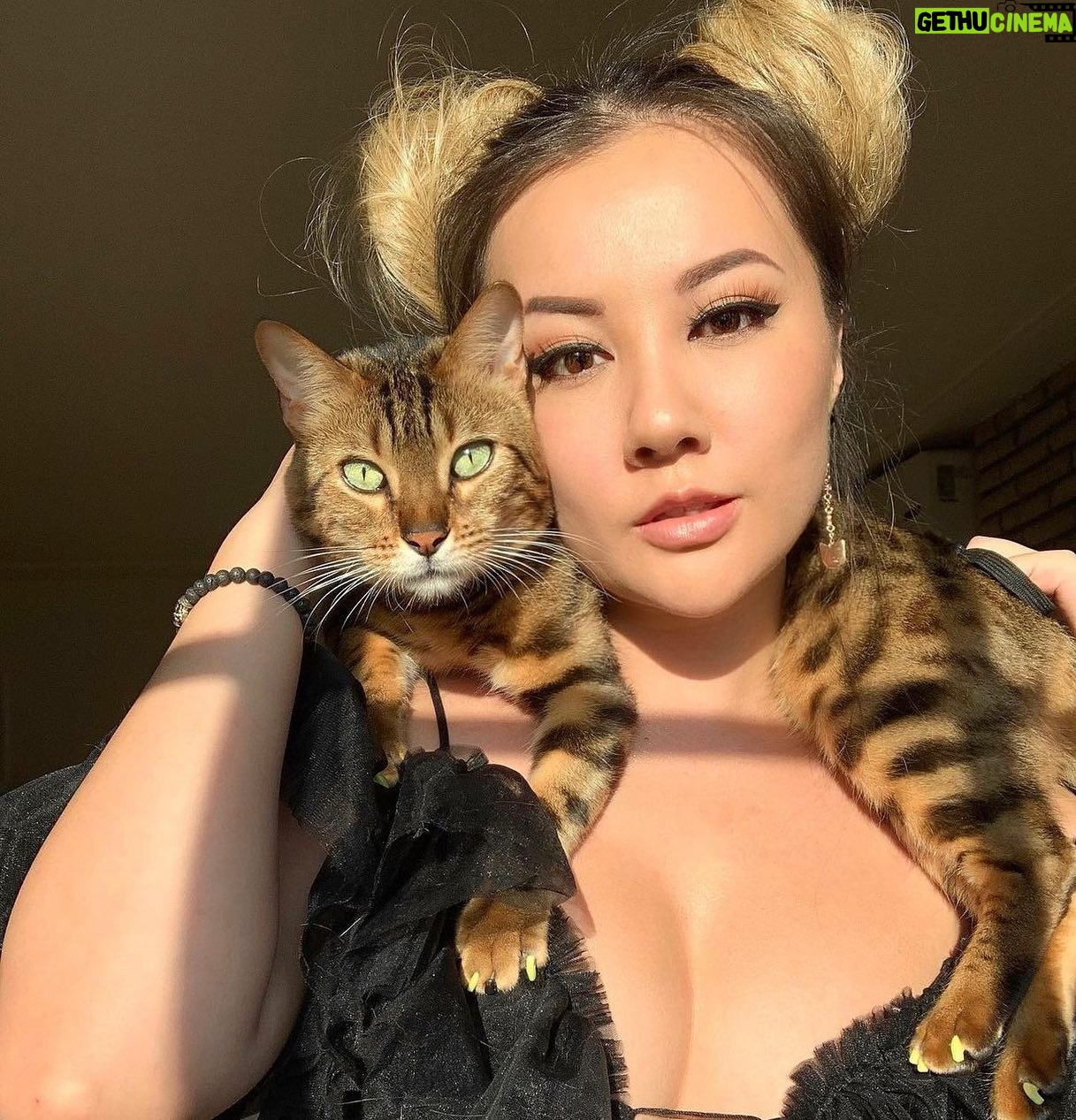 Gina Darling - 20K Likes - A girl and her tiger ❤️
#cat