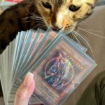 Gina Darling Instagram - A while back, I tweeted about how my ex refused to give me my stuff back, including my Yugioh deck. I checked my mailbox today to find that @tcgplayer_com replaced my whole Chaos Thunder Dragon deck including my beloved Japanese foiled Black Luster Soldier AND my sides. I’ve sat here shocked for the last 20 mins. Words cannot express how grateful I am. You guys have a loyal customer for life. From the bottom of my “heart of the cards”, thank you. Thank you so much.