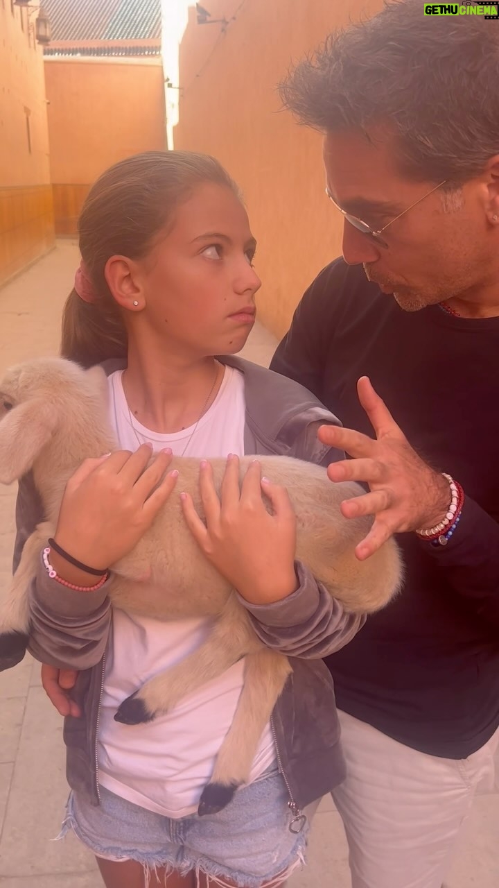 Most liked Instagram photo of Gino D'Acampo