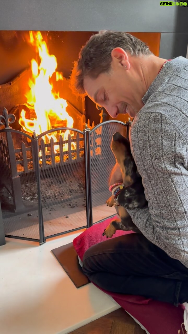 Gino D'Acampo Instagram - Don’t worry @iamsnoopdacampo - no hotdogs today….! GDx