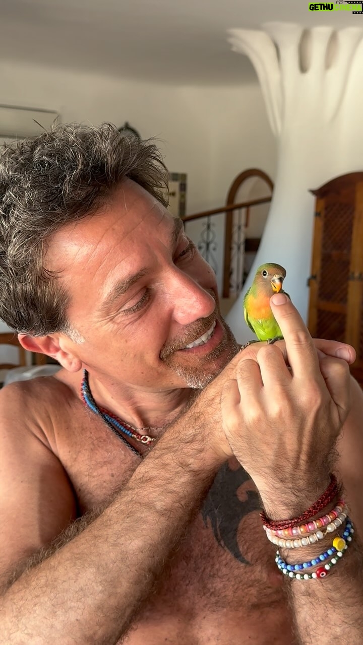 Gino D'Acampo - 18.5K Likes - Guys, meet Lily 😎…
GDx