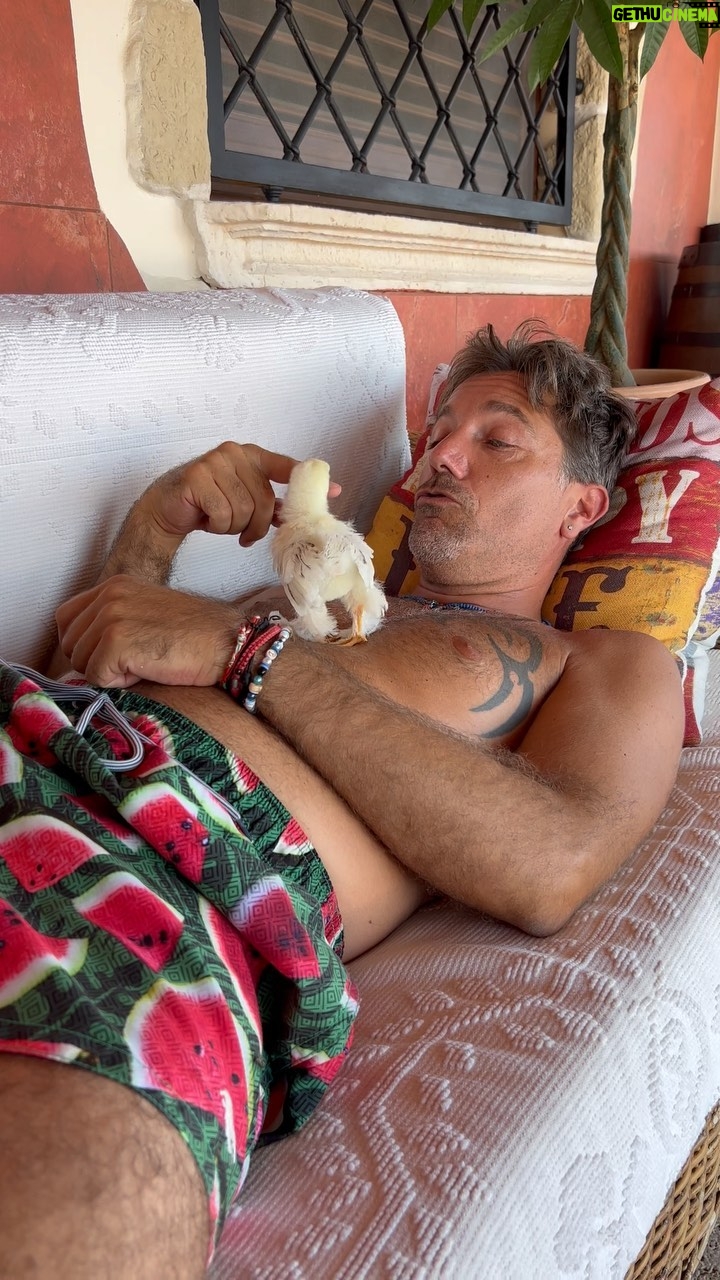 Gino D'Acampo - 53.9K Likes - A cute new addition to the D’Acampo Family! Although, we can’t work out if it’s a male or female… Any guesses?…
GDx