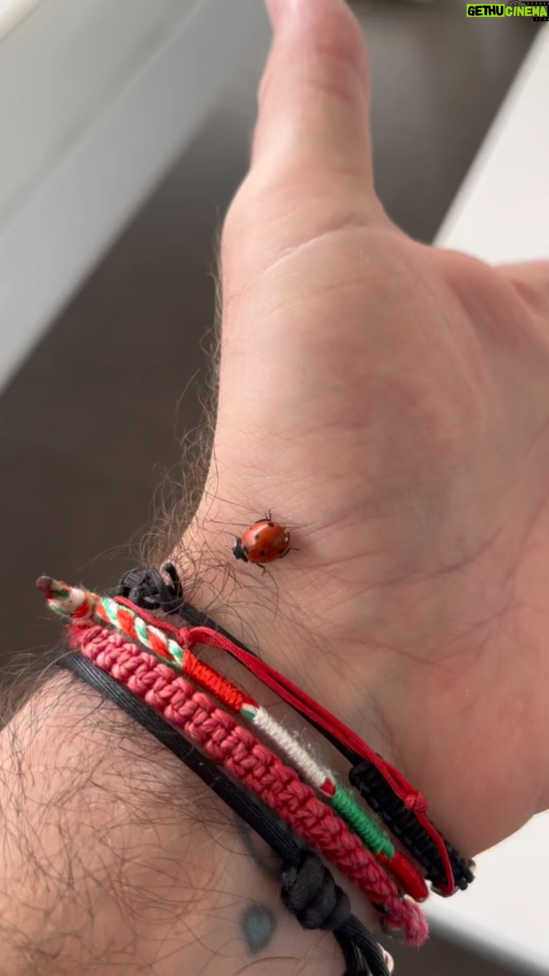 Gino D'Acampo Instagram - In Italy we call it Coccinella and itโs good luck when they land on you ๐ GDx